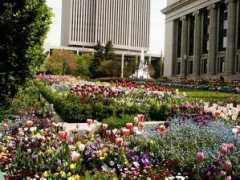 mormonnewsroom.org Jsmb