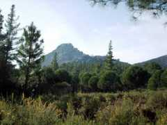 marbellatrails.com Juanar