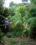 earlscliffe.com Juania