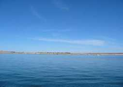 carsonhowe.com Juanico