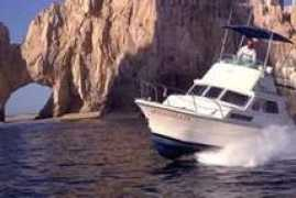 mexfish.com Juanix