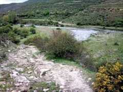 Jubera