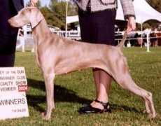 foxfireweims.com Jubes