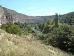 Jucar