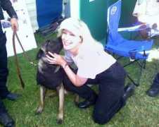 k-9armor.com Jucutan