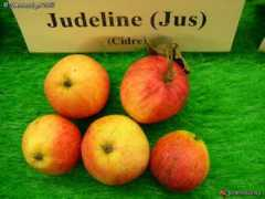 gardenbreizh.org Judeline