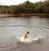 larsenoutdoors.com Jufari