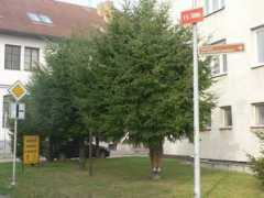 pelhrimovsky.denik.cz Juhna