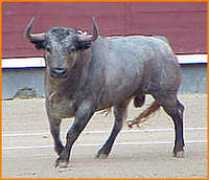 las-ventas.com Juino