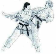 Jujitsu