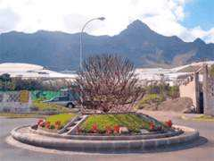 Julaga