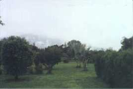earthsci.org Julam