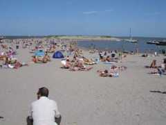 steigereiland.com Julil
