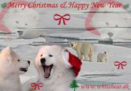 whitebear.dk Julx