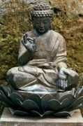 tealit.com Juming