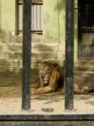 Junagadh