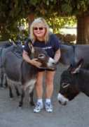 minidonkeys.com Junaita