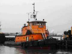 marinelog.com Junek