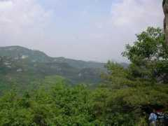 panoramio.com Jungang