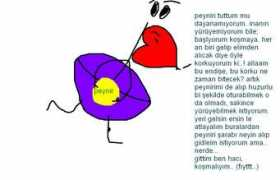 zirvala.com Jungee