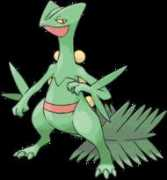 legendarypokemon.net Jungko
