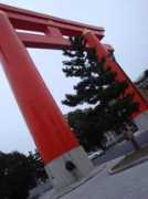 Jungu