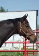 herselffarm.com Junior
