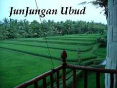 apaapa-zakka.com Junjungan