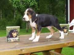 kilbacken.com Juntti