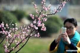 news.xinhuanet.com Junxi