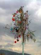 blog.canpan.info Junza