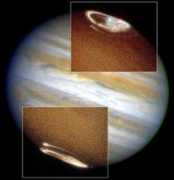 featuredpix.com Jupiters