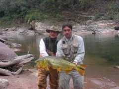 fisheyesoup.com Juramento