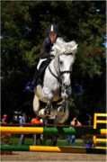 ephoto.sk Jurasek