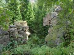 Jurev