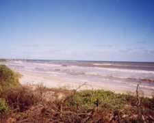 members.westnet.com.au Jurien