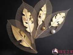 news.525zb.com Jurio