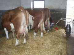agropartner.rs Jurisin