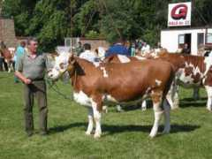 agropartner.rs Jurisin