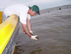 pescaenberisso.com.ar Jurnet