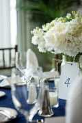 weddingbee.com Jusino