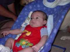 shonkfamily.com Jusitn