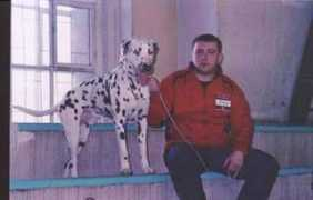 dalmatian.ru Juslan