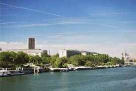 Jussieu