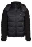 24.no Justcavalli