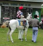 horselover.gportal.hu Juszel