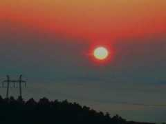 Jutro