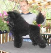 Juuso