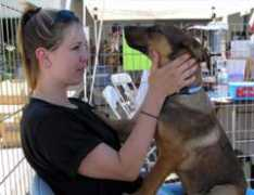 bajaanimalsanctuary.org Jynette