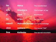 vitalcoaching.com Jyotisa